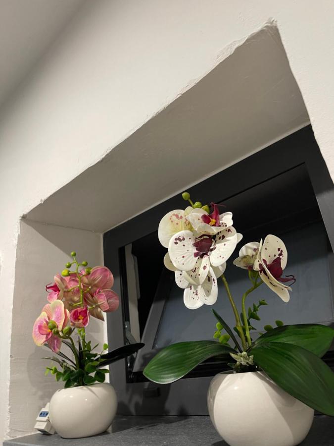 House Soleil Apartment คาตาเนีย ภายนอก รูปภาพ